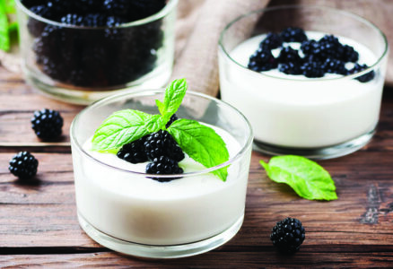 Natural homemade yougurt with berry and mint, selective focus